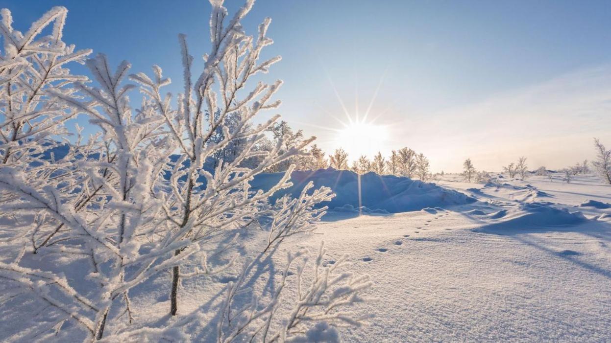 Greenhouse Sart-lez-Spa Eksteriør bilde